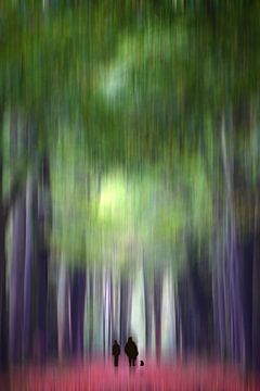Een herfstwandeling door het bos van Jessica Berendsen
