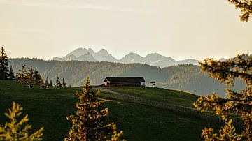 Ochtend op de bergen met een prachtig uitzicht op een alpenweide met een hut van chamois huntress