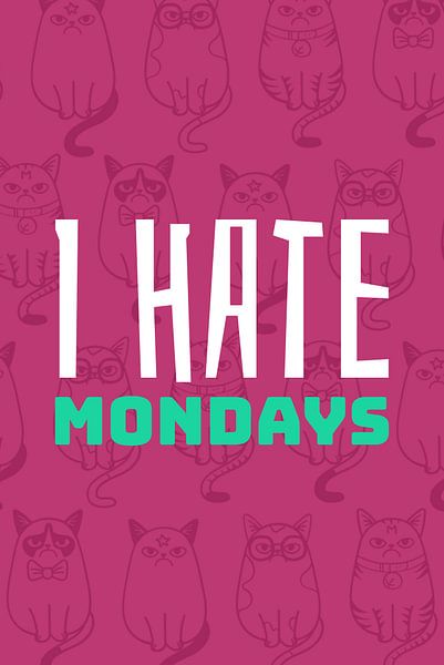 Ik haat Maandagen - Ik haat Maandagen... van Felix Brönnimann
