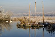 Winters tafereel aan het Noord Aa in Zoetermeer van Hans Brinkel thumbnail