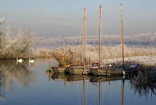 Winters tafereel aan het Noord Aa in Zoetermeer
