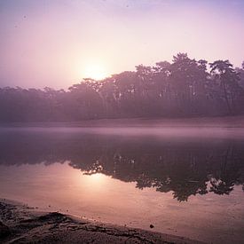 Henschotermeer dans la brume du matin sur Angelique Niehorster