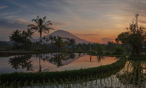 Zonsopgang over rijstvelden en Mount Agung