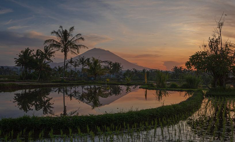 Sonnenaufgang über Reisfeldern und dem Berg Agung von Michiel van den Bos