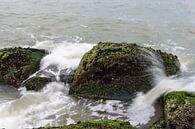 Wild Water over de rotsen van Brian Morgan thumbnail