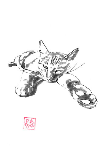 tired cat by Péchane Sumie