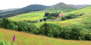 Moffat Water Valley  sur Gisela Scheffbuch