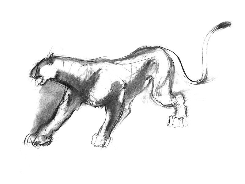Big Cat by Esther van de Beek