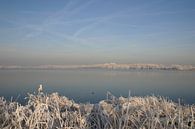 winters view by EnWout thumbnail