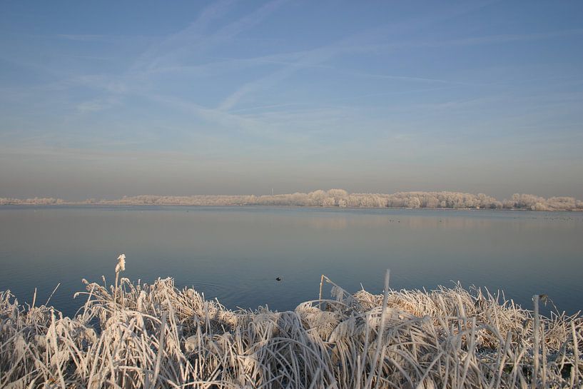 Winters uitzicht van EnWout