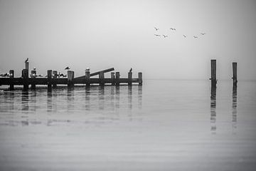 Minimalismus in schwarz weiß