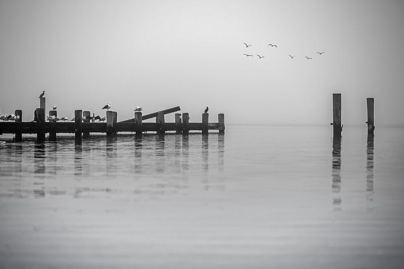 Minimalismus in schwarz weiß von Thomas Riess