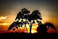 zonsondergang