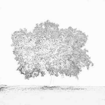 Einsamer Baum von Maurice Dawson