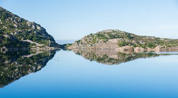 Bird in flight near the rocks of the coast of Norway by Manon Verijdt