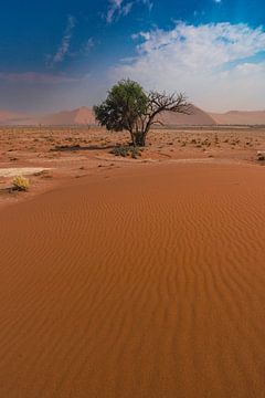 Woestijnlijnen in de Namib duinen van Namibië, Afrika van Patrick Groß