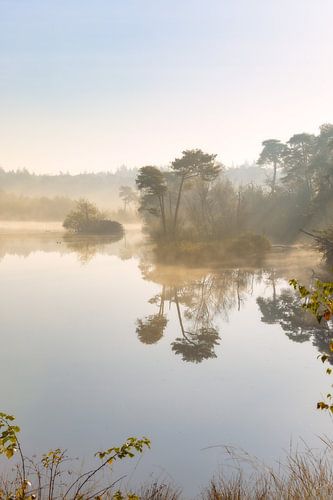 Nebel über dem Niedermoor von Oisterwijk