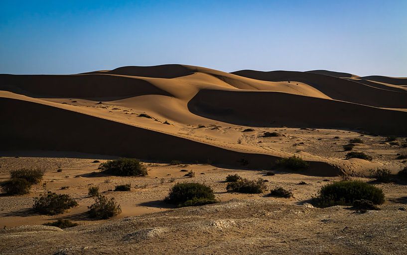 Sand Waves by Willemijn Wolthaus
