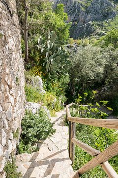 stenen trap bij oud kasteel in Spanje van ChrisWillemsen