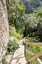 stenen trap bij oud kasteel in Spanje van ChrisWillemsen thumbnail