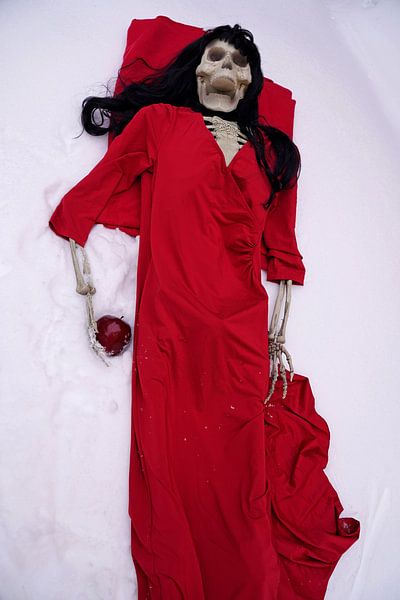 Dernier squelette de pomme avec une robe rouge et une pomme rouge par Babetts Bildergalerie