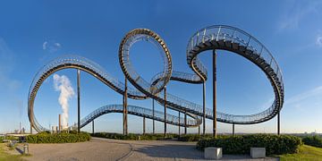 Tiger & Turtle von Walter G. Allgöwer