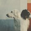 Border Collie et Labrador | portrait moderne de deux chiens sur Lauren Wilde