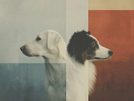 Border Collie and Labrador | a modern portrait of two dogs by Lauren Wilde