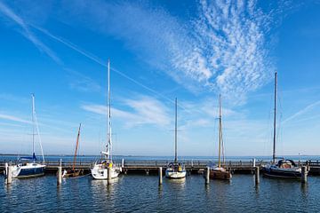 Port with sailing ships in Dierhagen, Germany