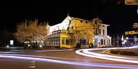 Lichtsporen en Bloesem bij Avenarius