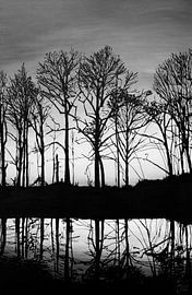 Lijnschilderij zonsopgang zwart wit, bomen met prachtige weerspiegeling in het water