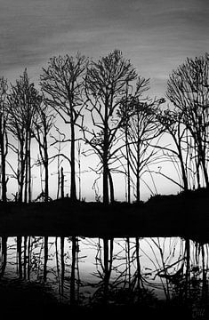 Lijnschilderij zonsopgang zwart wit, bomen met prachtige weerspiegeling in het water van Bianca ter Riet