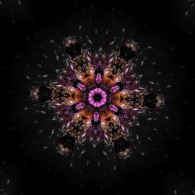 Hypnotic Thistle by karin van Bylevelt