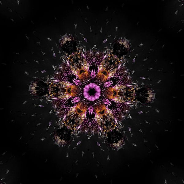 Hypnotische Distel van Karin van Bylevelt