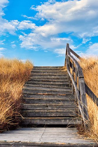 Stairway Plank way by AD DESIGN Photo & PhotoArt
