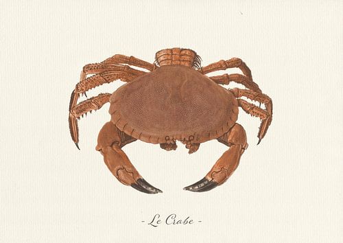 Le Crabe