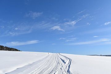 Un sentier de motoneige sous un ciel bleu sur Claude Laprise