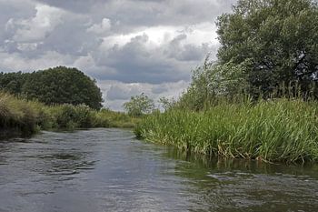 Romantische Partie auf der Örtze