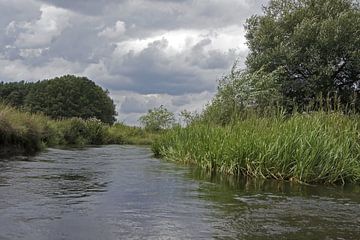 Romantische cruise op de Örtze