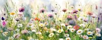 Zomer! Panorama schilderij met veldbloemen