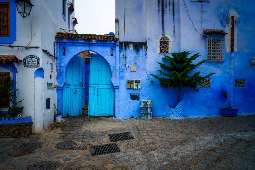 Beautiful blue city in Morocco by Roy Poots