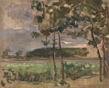 Champ avec de jeunes arbres au premier plan, Piet Mondrian