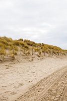 Beach with tyre tracks