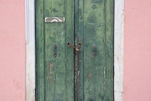 Double green door on a pink wall, Venice