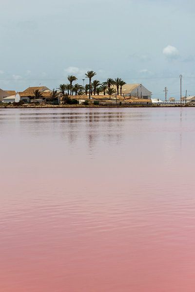 saltlake by ton vogels