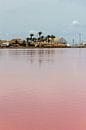 saltlake by ton vogels thumbnail