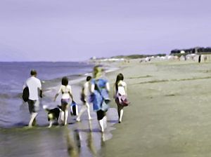 Strand sfeertjes | Familie wandeling  | Strandleven