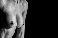 De blote borsten van een sportieve vrouw bedekt in druppels water - erotische wanddecoratie von Retinas Fotografie Miniaturansicht