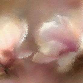 Magnolia in a Veil of Light by Whale & Sons