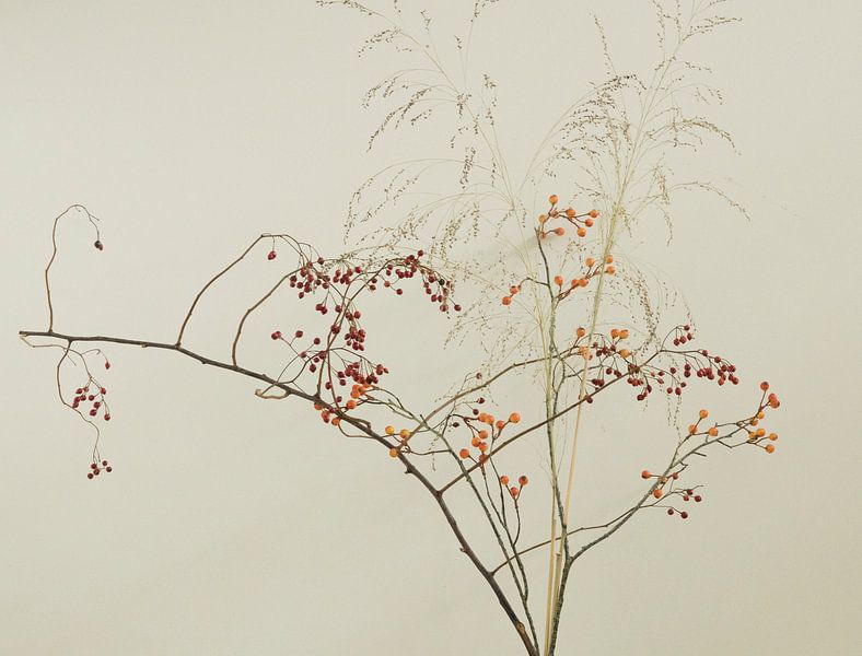 les branches décoratives par Hanneke Bantje